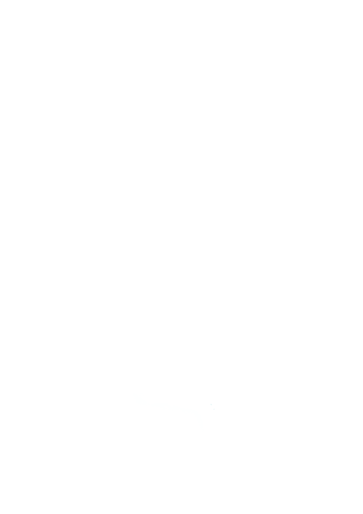 Animal Sun Merch Store